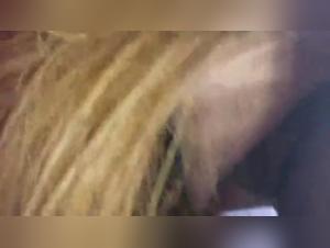 Délices Equestres Espagnols : Milly et son Désir Intranquillible