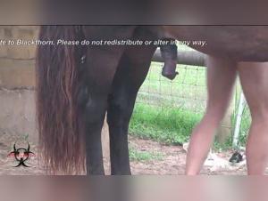 Chasse aux pulsions : Ariel et son chien dans une rencontre bestiale