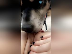 débauche canine sans limites