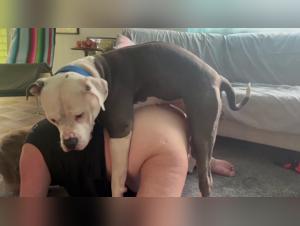 Fantasmes de Montage Canin :  Grossesses et Dévouement Extêmes