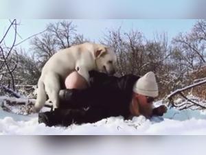 L'Enfer Animal : Délices Sexuels Interdits