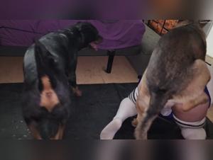 Délices Obscurs: Sexe Féminin-Chien Gay Extreme