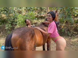 Milly et le Cheval : Débauche Brute