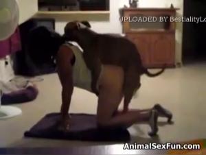 Désir canin : Bestialité sans limites