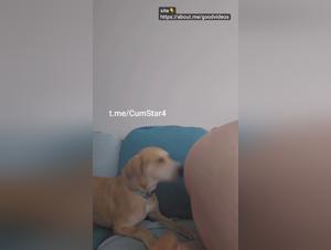 Greedy Dog: Hot Licking Sessions in Doggy Style