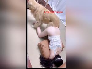 Délices Obscures :  Soumission Chinoise à l'Animal