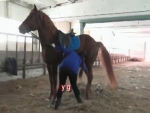 L'Incroyable Débauche d'Olga: Baise Animale Extreme