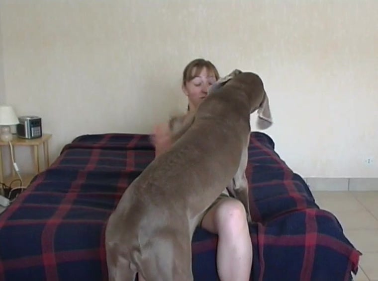 Dog Bangs Girl Hard, Deep Throating Action