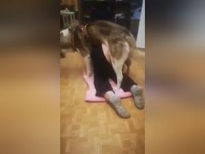 Zoophilie Indigne : Le Chien Maître de la Soumission Féminine