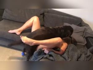 Zoophilie brute : Le chien prend le contrôle