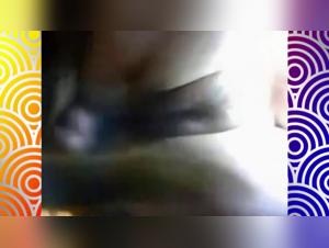 Zoophilie Décadente: Chat dévore la Fente d'une Salope