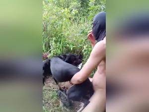 Orgie canin sauvage: Chien dévore la pulsion sexuelle d'une femme