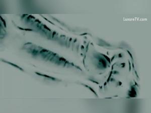 X-Ray Obsession : L'Ejaculation Canine d'Elise dévoilée