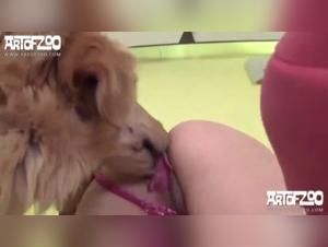 Monica Cool : Été de Baises Sauvages avec son Chien