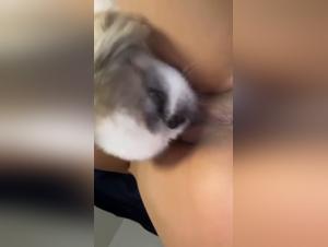 La petite chienne dévore la pulpe de sa dominatrice