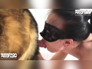 Le bouvier dominateur s'en prend à sa maîtresse sans pitié