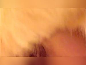 Webcam Délices Canins : Mature et Extrême