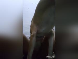 Ratio brute : baiser hard avec une vraie chienne