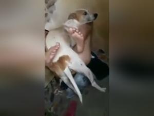 Délices Canine : Vidéos Sexuelles Femme-Chien