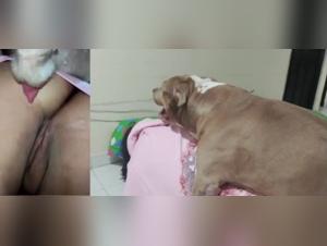 Délices Bestiales : La Part 1 du Délire Canin