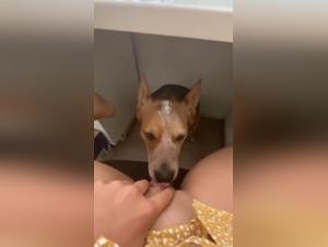 ImaKnottyGirl : Désir Brut avec Chien -  Vidéos XXX Décapantes
