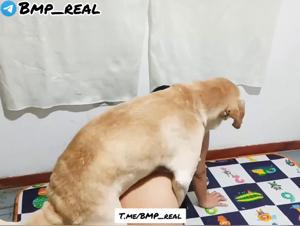 Chienne débauchée sur Benita : léchage et baise hardcore