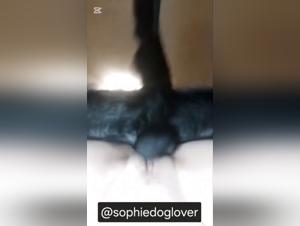Déchaînez vos Désirs les Plus Obscures : Sexe Chien-Femme Extremo