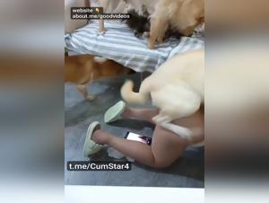 Débauche Animale : Double Pénétration Diabolique