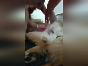 Dévoilements Bruts : L'union irrésistible entre femme et chien