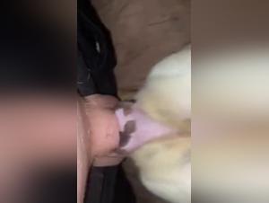 Domination Canine: Baise Brutal et Incontrôlable