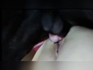 Wild Animality: Dog Fucks Woman