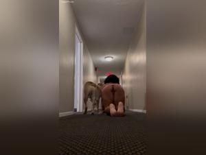 La domina dans le couloir, son chien sauvage s'échappe