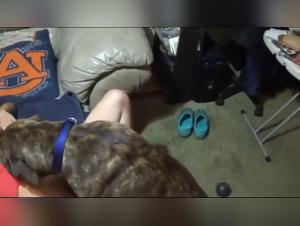 Débauche Canine : Obsessions et Délices Interdits