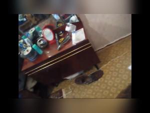  Chien sauvage dévore la chair de sa maîtresse
