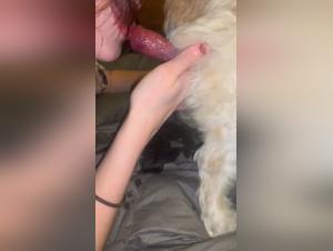 La petite chienne à la muselière délectante, une nana s'en donne à cœur joie