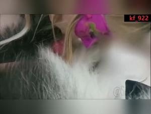 Délices Sauvages : Amour Lesbian et Chien