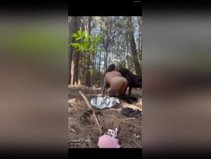 Cupcake, the Slut: Fucked Without Reserve by a Ferocious Dog