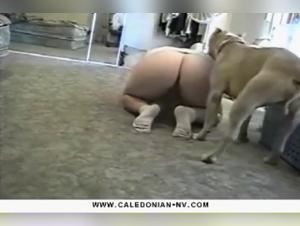 Zoophilie Indomptée: Délices Interdits avec Chien