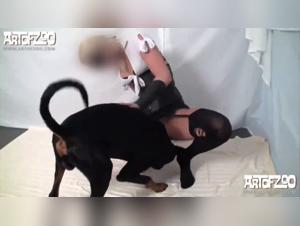 Dépaysement canin : Silvy s'en amuse sous les étoiles avec un bon vieux chien