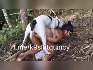 Féroce liaison can canine et humaine au cœur de la nature sauvage
