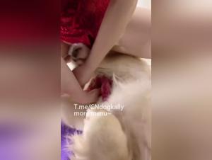 Animal Desire: A Chinese Girl Pushes Boundaries with Her Dog
