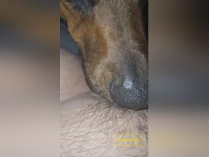Licking Obsession : L'Animalité Incontrôlée