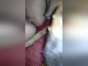 Fifi la léchouille : Partie 2 -  Action canique endiablée