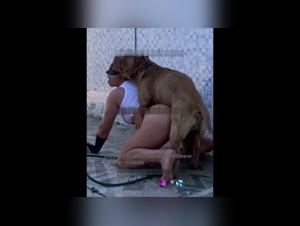 Déchaînez vos désirs les plus sombres : sexe animal hardcore