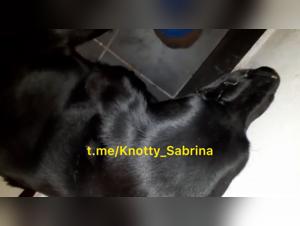 Canine Domination: Brutal Fucking and Wild Ejaculation