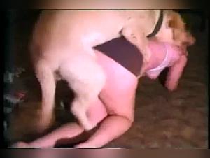 Taboo Exploité : Teen Submise au Chihuahua