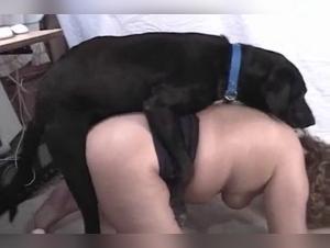Double Pénétration Animale