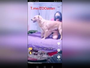 Débauche Chinoise: Live Sex avec Chien