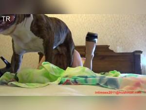Liaison animale inattendue : blocage et tension sexuelle