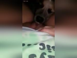 Délices Fétiches: La Passion Animal Débridée
